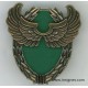 13° Régiment de Dragons Parachutistes RDP Brevet Formation de recherche aéroportée