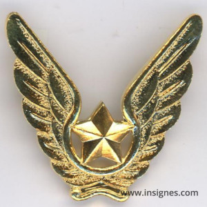 Tchad Armée de l'Air Insigne de béret Drago
